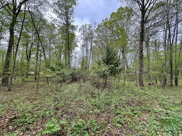 LOT 61 Chip N Dale Dr, Pickerel, WI 54465