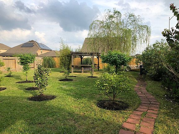 Back yard private sanctuary 