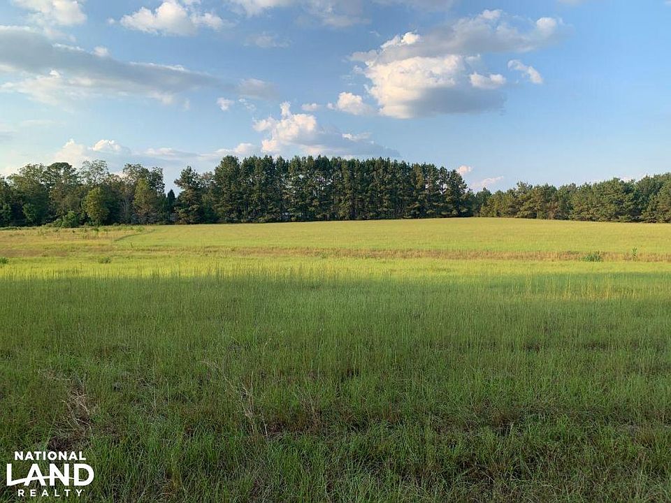 View to the North Across Hayfield on Clark County, MS (Quitman) +/-54.6 Acre Property