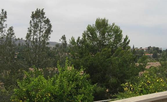 2nd image of 29 Blackbird Ln