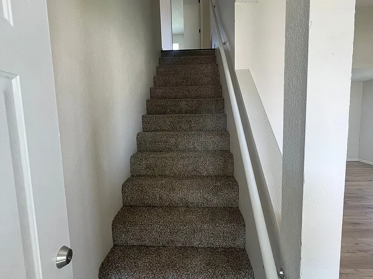 2509 Carnation Dr — Photo 10