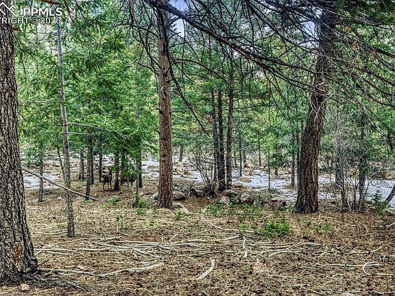 3rd image of Rock Ridge Rd