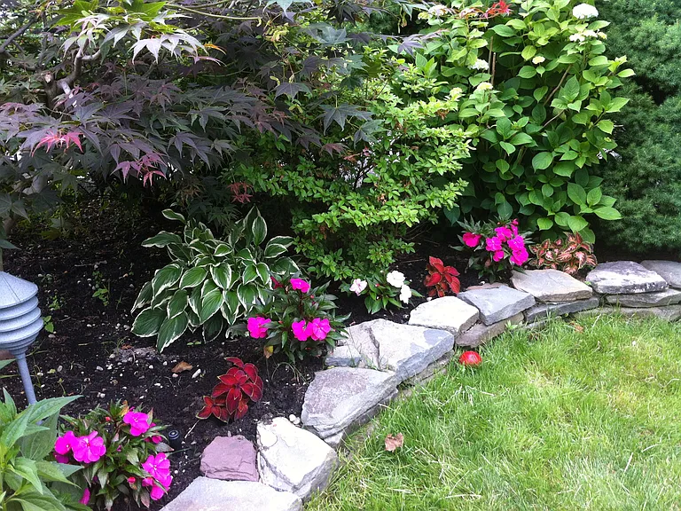 Front yard landscaping!