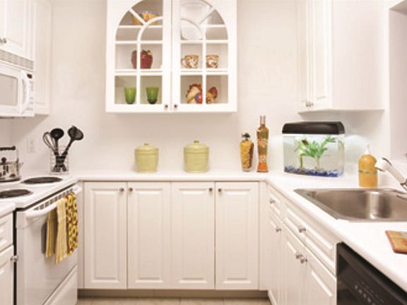16 Ridgecrest Ter. #5 Boston - West Roxbury Unit Photo 4