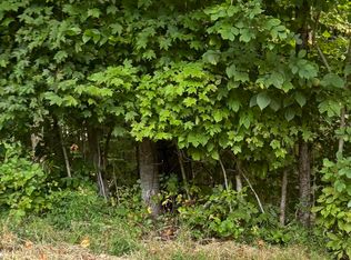 53 Golf Course Rd, Unicoi, TN 37692