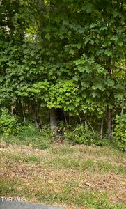 53 Golf Course Rd, Unicoi, TN, 37692
