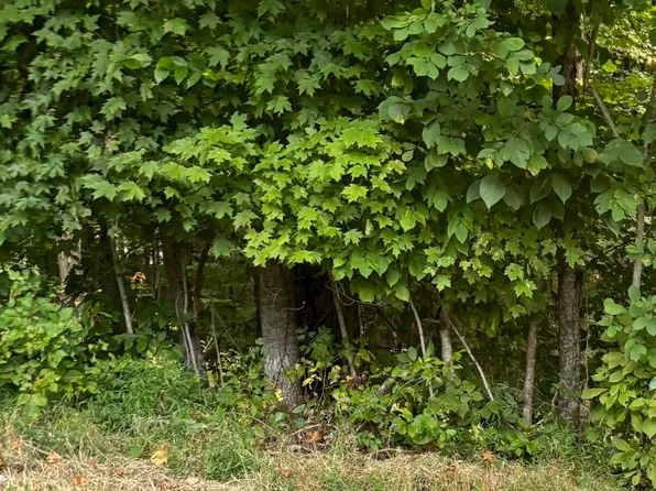 53 Golf Course Rd, Unicoi, TN 37692