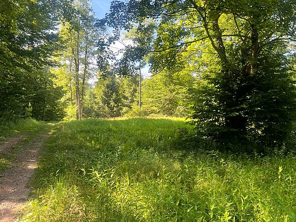 2nd image of LOT 6 Carleton Pond Rd