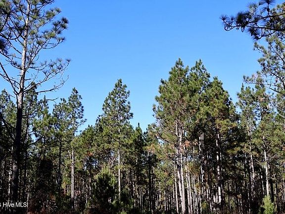 4th image of Stuarts Mill Rd Lot 4