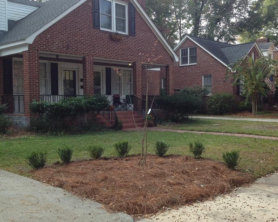 Front yard