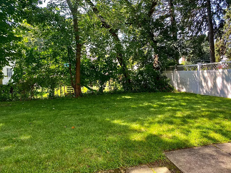Shared Backyard