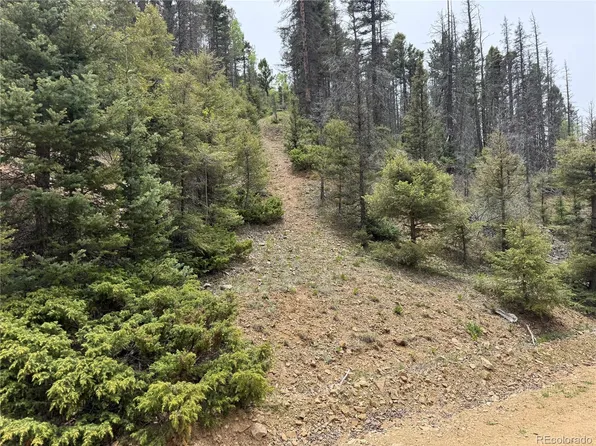 Lot 6795 Starkweather Road LOT 6795, Fort Garland, CO 81133