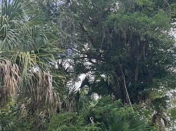 2942 Brownwood Dr Lot 21, Sebring, FL 33875