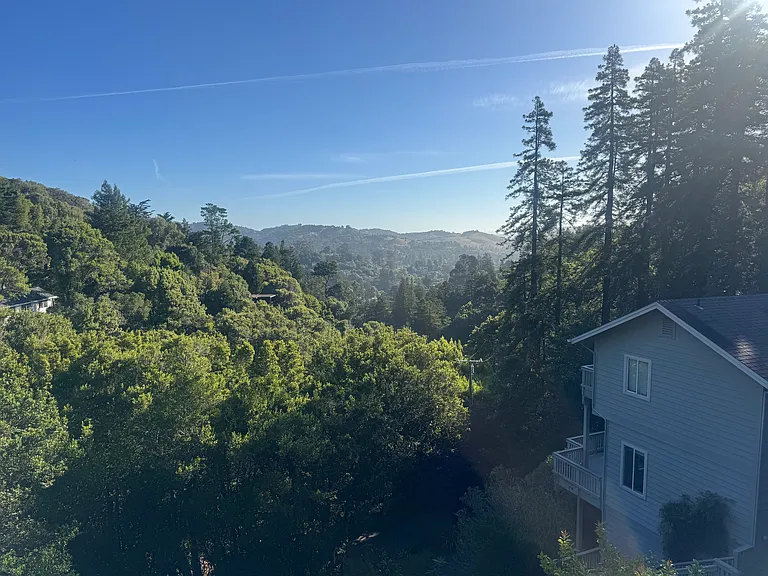 Madrone Park Cir — Photo 7