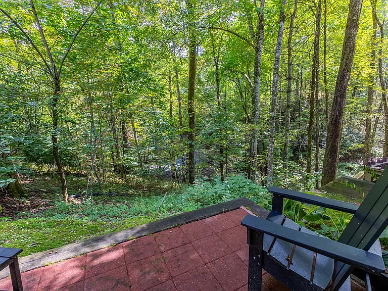 69 Dogwood Knob #7D — Photo 48