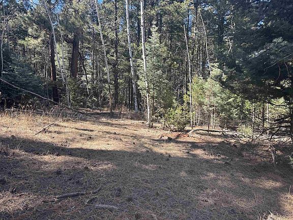 3rd image of Lot 1031 Armijo