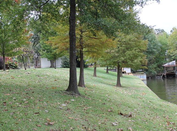 3rd image of 4901 Alice Ln