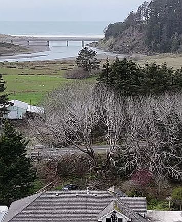 2nd image of 94667 N Bank Pistol Rv Rd