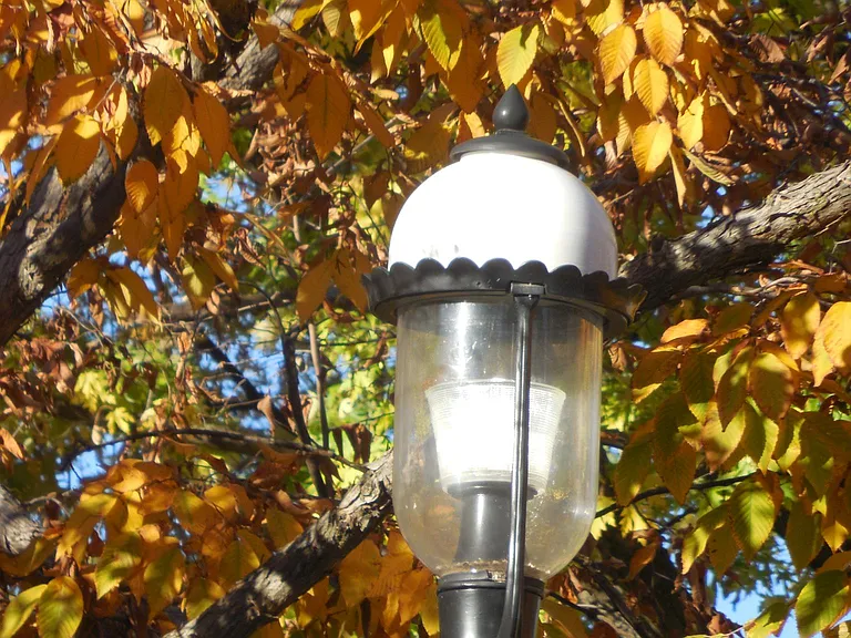 Our street lights