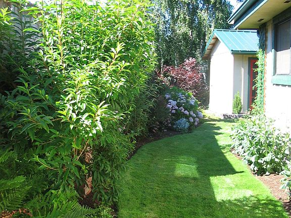 View of side yard