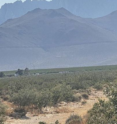 5th image of Walden