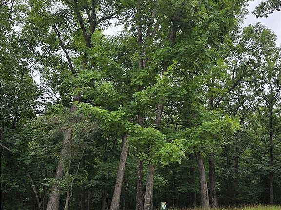 3rd image of LOT 109 Terry Rd
