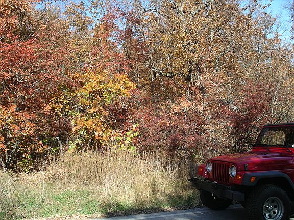2nd image of 121 Sugarbush Cir