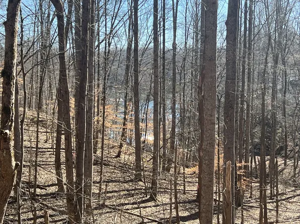 137 Gennies Way Lot 137, Lynchburg, TN 37352