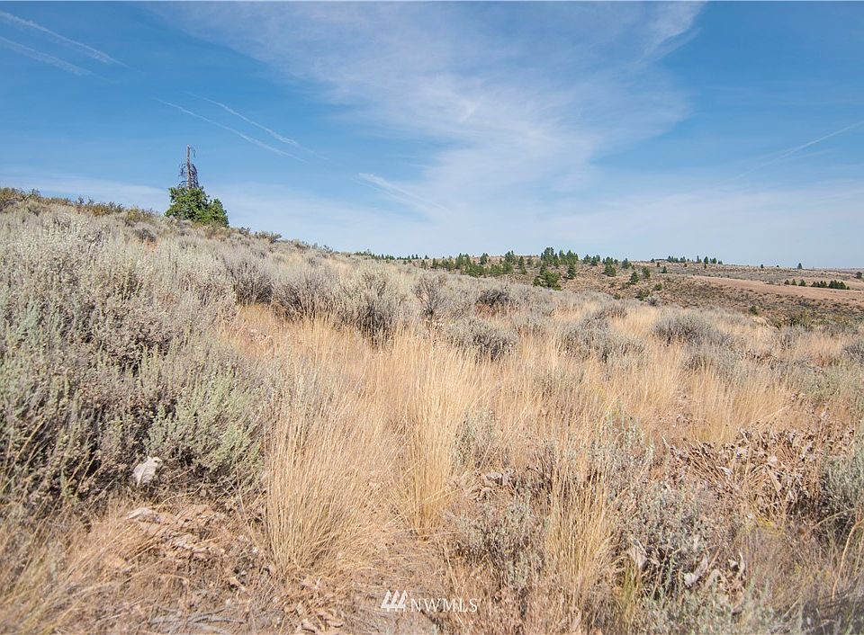 2nd image of 207 Wild Turkey Road