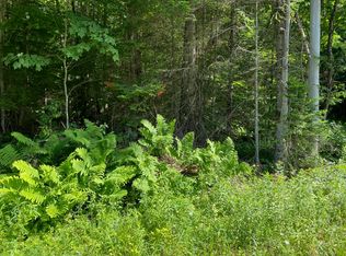 70.9 Sequoia Rd, Thendara, NY 13472