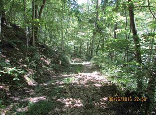 Browns Mountain Rd, Greeneville, TN 37745