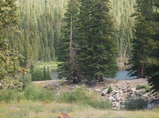 Tract E, Idaho Springs, CO 80452