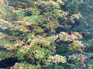 Maplewood Court, Alba, MI 49611