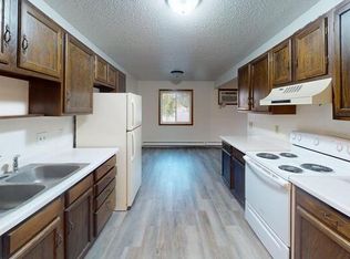1100 Pleasant St #5, Bismarck, ND 58504