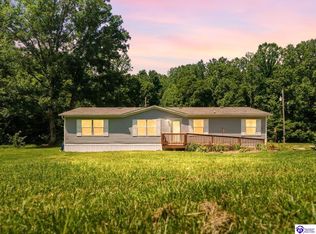 1401 Guston Bewleyville Rd, Guston, KY 40142