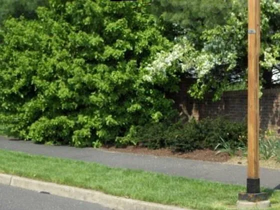 541 Cedar Hollow Dr photo 1