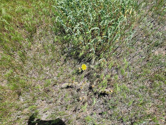 2nd image of 20601 County Road 169