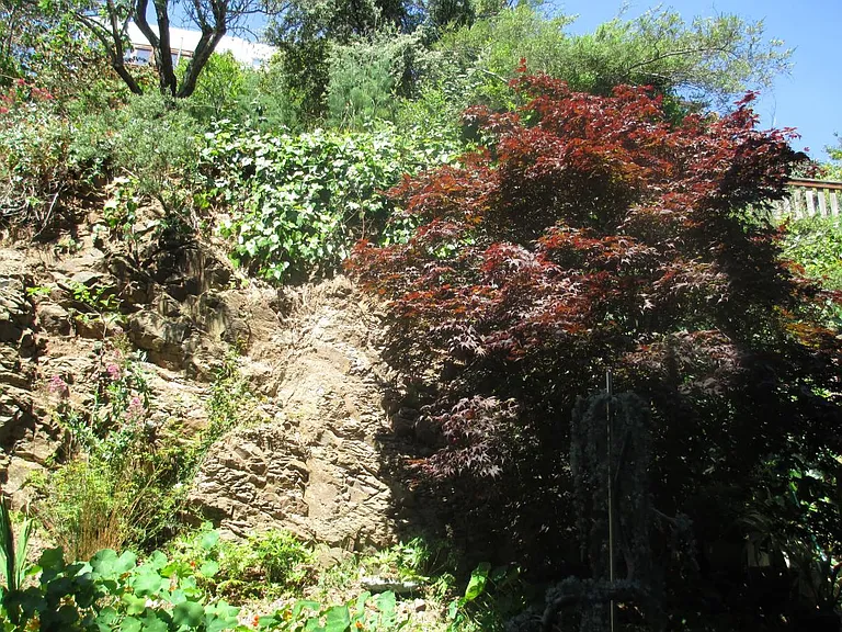 876 Castro St — Photo 29