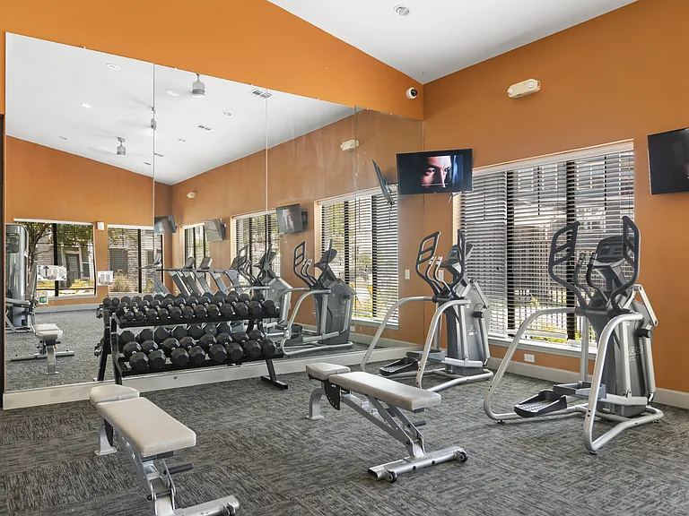 SYNC at Spring Cypress — Photo 12