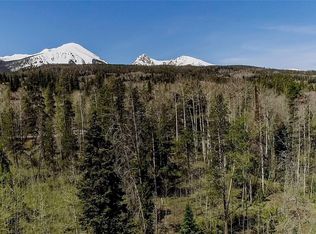 1595 Golden Eagle Rd, Silverthorne, CO 80498