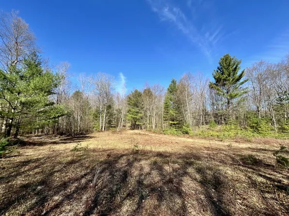 Oswegatchie Trail Rd, Star Lake, NY 13690