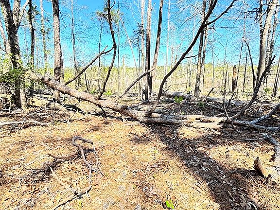 3rd image of 579 Private Road 8480