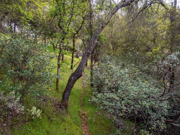 Lorrain St, Shingle Springs, CA 95682
