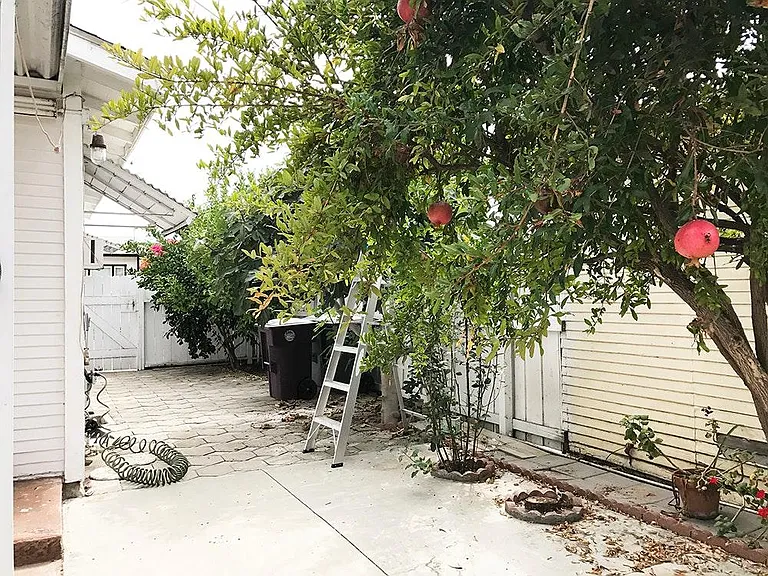 Backyard 2