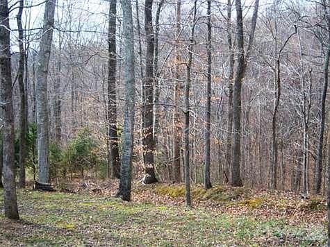 listings kangaroo 022