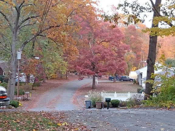 View from driveway east