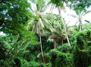 12 4990th #36, Pahoa, HI 96778