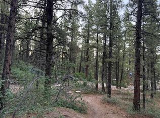 137 N Kolob Pines Dr, Springdale, UT 84767