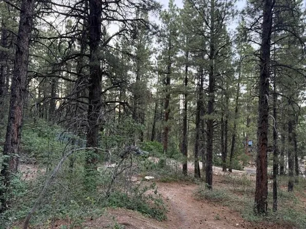 137 N Kolob Pines Dr #36, Springdale, UT 84767