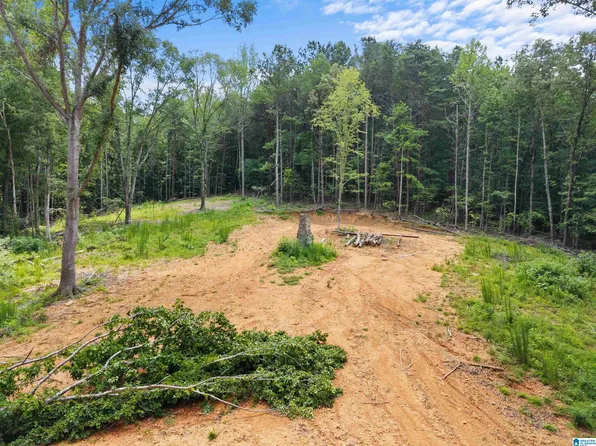 9777 Railroad Ave Lot 1, Pinson, AL 35126